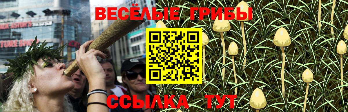 Псилоцибиновые грибы Cubensis Рассказово