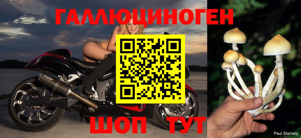 Рассказово  Галлюциногенные грибы MAGIC MUSHROOMS  Вход с VPN 